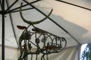 Un Vache de Manege 4 * 4368 x 2912 * (5.02MB)